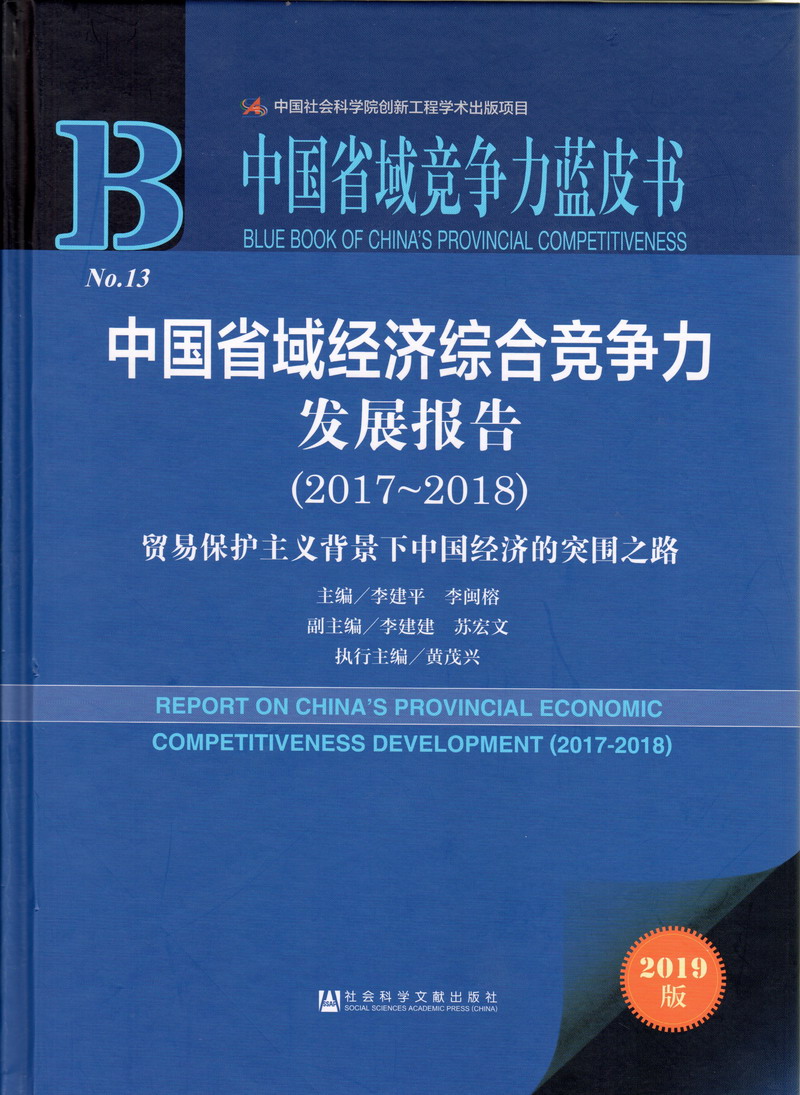 看大黑逼中国省域经济综合竞争力发展报告（2017-2018）